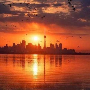 Meet your Posher, Bonnie